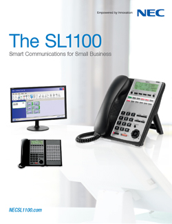 NEC DSX R3 Brochure - Moore Enterprises - Smart Communication for Small Business
